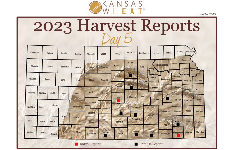 Kansas Wheat Futures